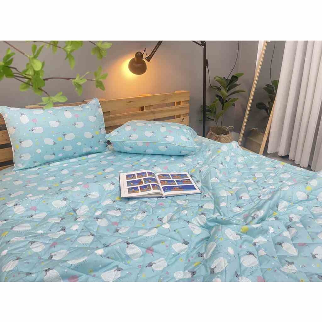 [Mã BMLTB35 giảm đến 35K đơn 99K] Bộ drap gối KHA LY - cotton thiên nhiên - Cừu Ngọc - VN309