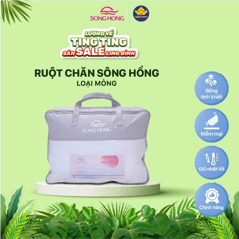 Ruột chăn Sông Hồng mỏng 200x220