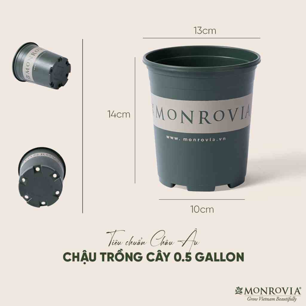 Chậu nhựa trồng cây MONROVIA 0.5 Gallon để bàn, treo ban công, treo tường, ngoài trời, sân vườn, tiêu chuẩn Châu Âu