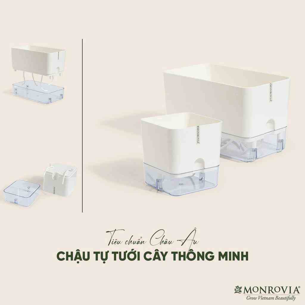 Chậu trồng cây tự tưới để bàn Monrovia, thiết kế thông minh, decor văn phòng, trong nhà, sang trọng, Tiêu chuẩn Châu Âu