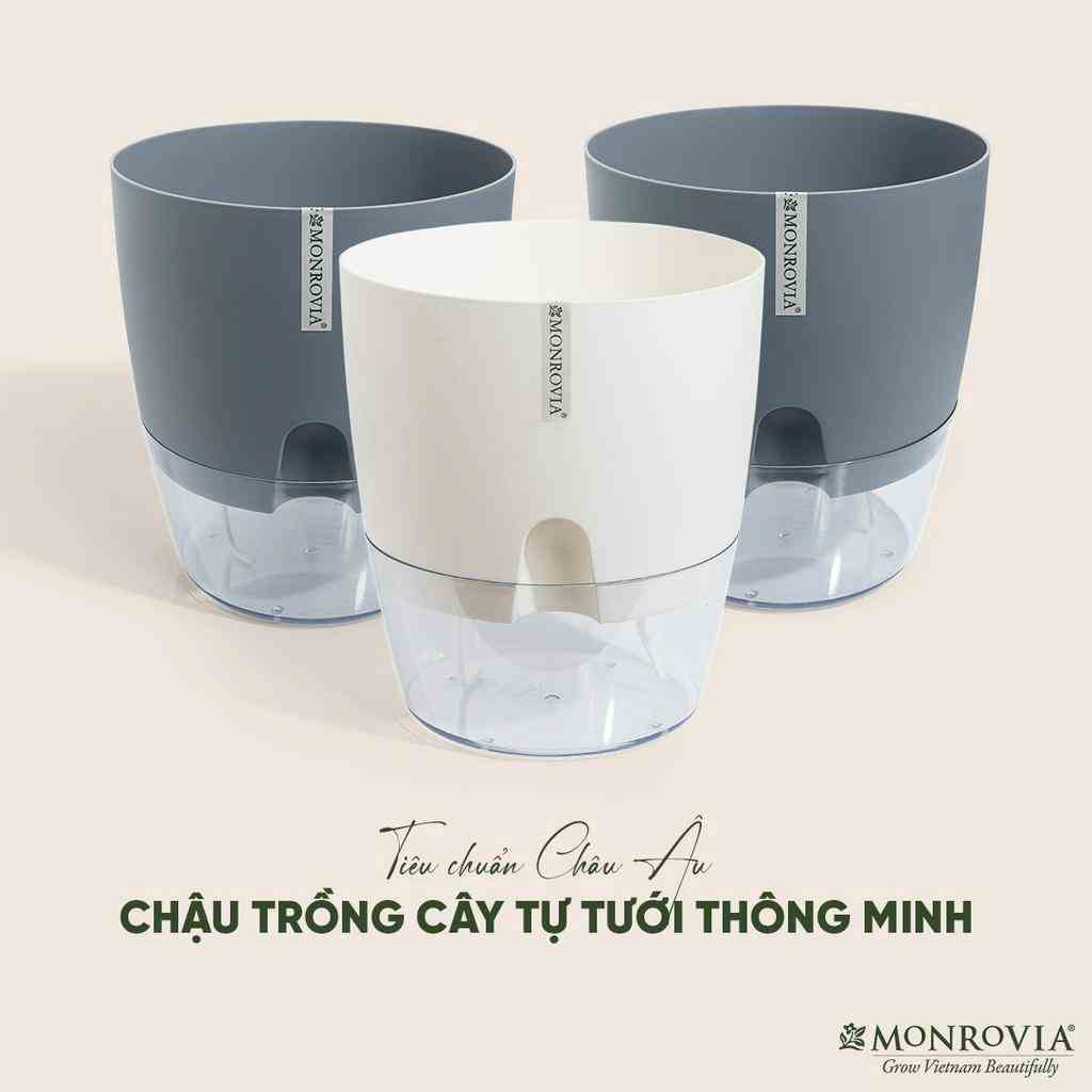 Chậu trồng cây tự tưới thông minh Monrovia size Lớn, phong cách Châu Âu, để bàn làm việc, trang trí trong nhà, ban công