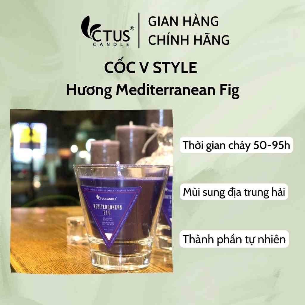 Nến thơm Cốc Vstyle Ctus Candle 8oz & 15oz hương Mediterranean Fig (Sung địa trung hải)