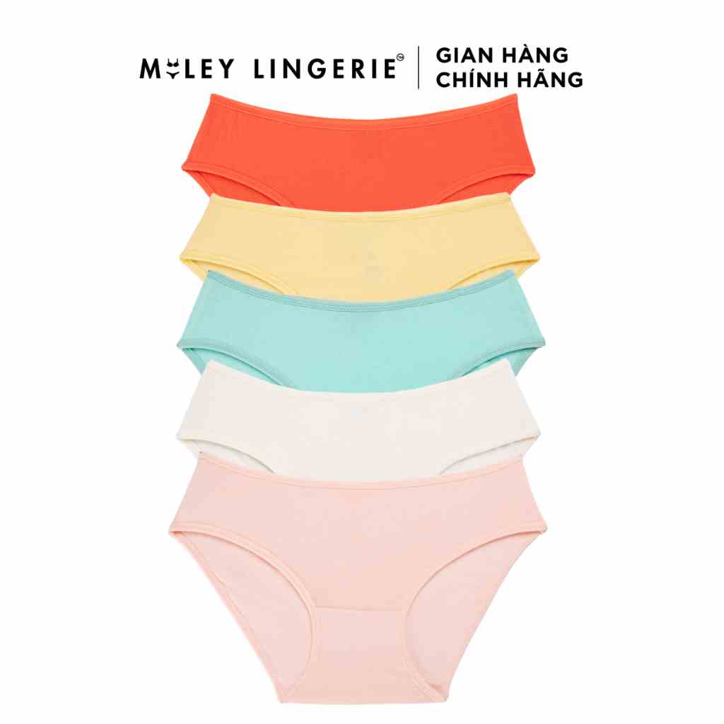 [Mã BMLTA35 giảm đến 35K đơn 99K] Combo 5 Quần Lót Nữ Modal Co Giãn Size Đại Miley Lingerie ABCS05 ( Size 2XL- 5XL)