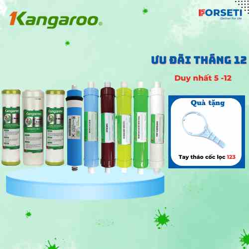 [Mã BMLTB200 giảm đến 100K đơn 499K] Trọn bộ 9 lõi lọc nước Kangaroo chính hãng dùng cho máy lọc nước Kangaroo KGHIMLAM