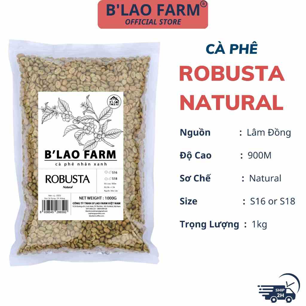 Cà phê nhân xanh ROBUSTA NATURAL BLao Farm cafe chưa rang sơ chế natural cao cấp tỷ lệ chín cao túi 1kg