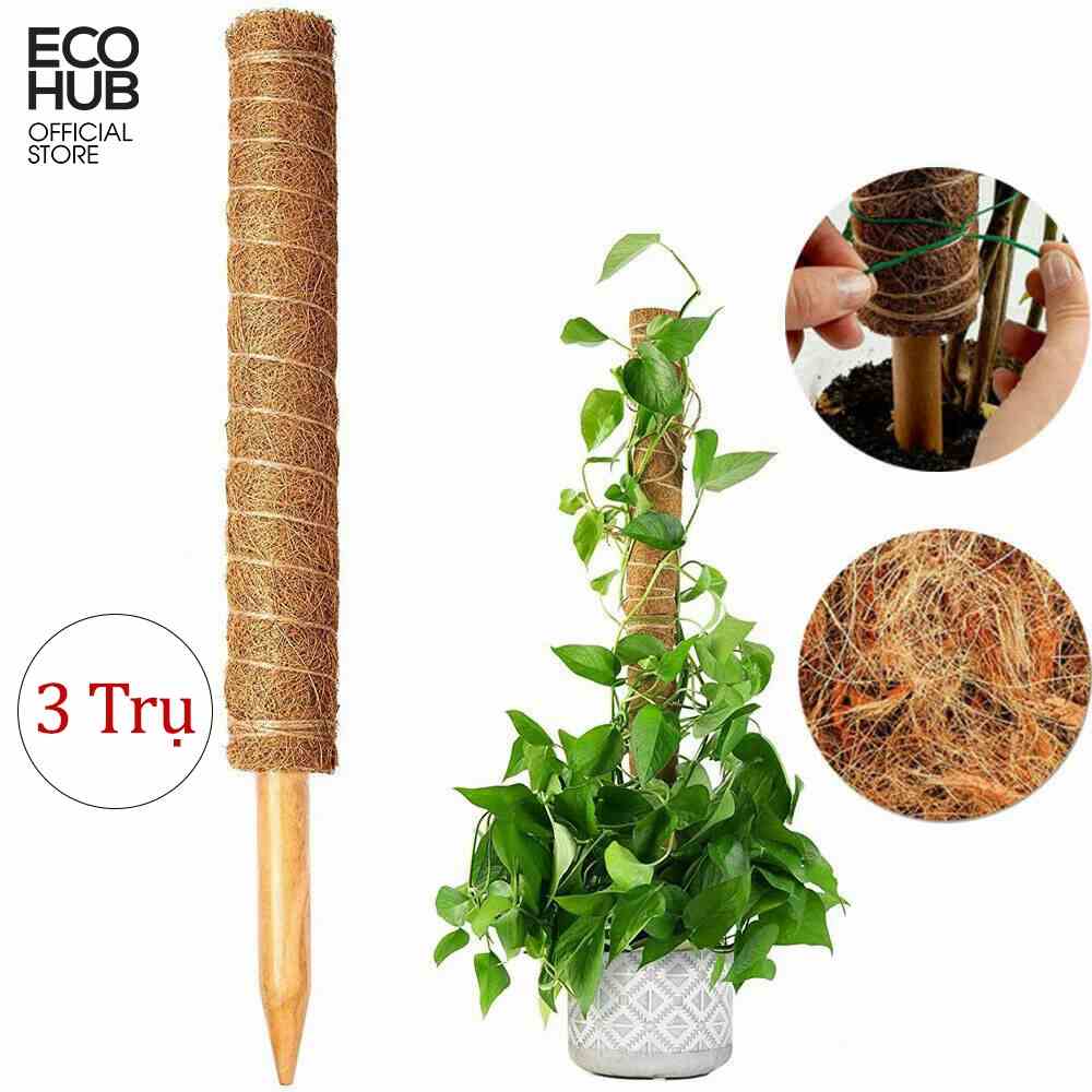 Trụ cột xơ dừa ECOHUB trồng cây, cho cây leo bám dài 60cm