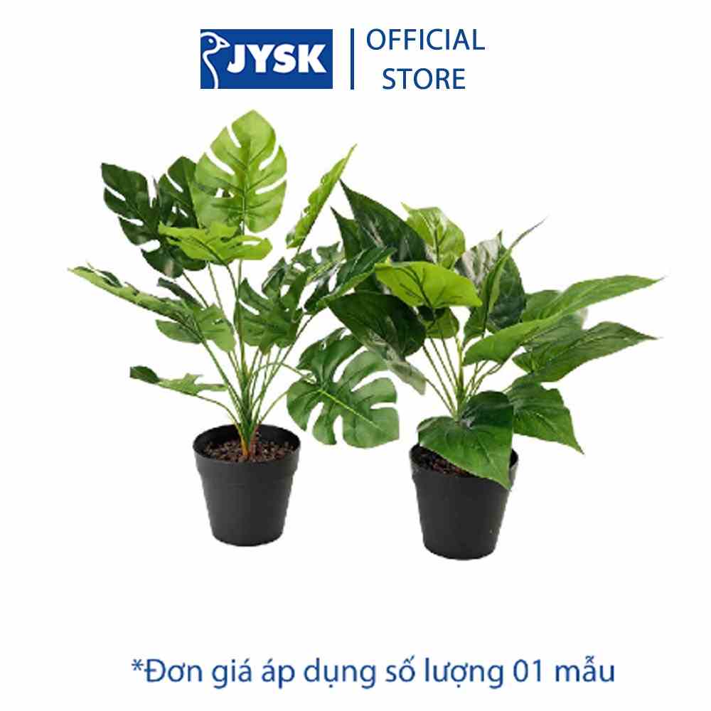 Cây trang trí | JYSK Thorulf | nhựa/polyester | H30cm