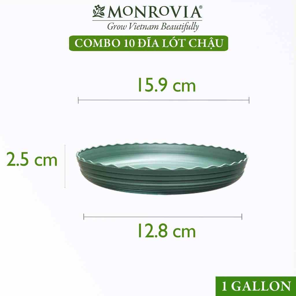 Combo 10 Đĩa lót chậu nhựa trồng cây MONROVIA 1gl, để bàn, treo ban công, treo tường, ngoài trời, sân vườn, chính hãng