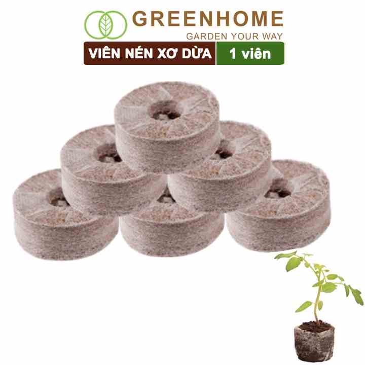 Viên nén xơ dừa Greenhome, ươm hạt giống, trồng cây, ươm hạt, ươm cây giống, trồng dâu tây