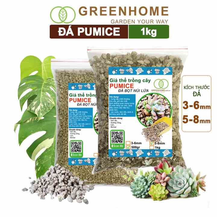 Đá bọt núi lửa pumice Greenhome, bao 1kg, lót chậu, trộn đất trồng sen đá, kiểng lá, nhiều size để lựa chọn