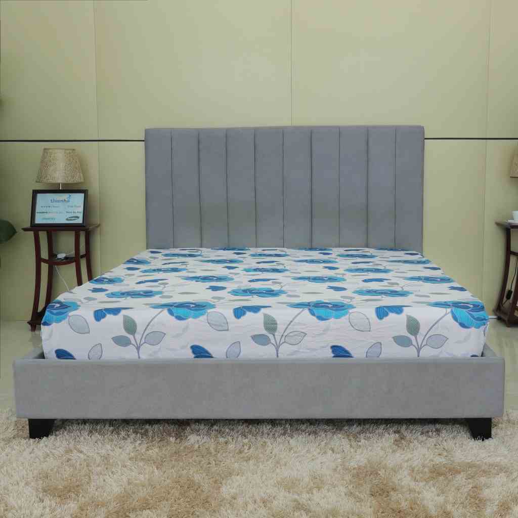 [Mã BMLTB35 giảm đến 35K đơn 99K] Drap bọc cotton thông dụng Hometex