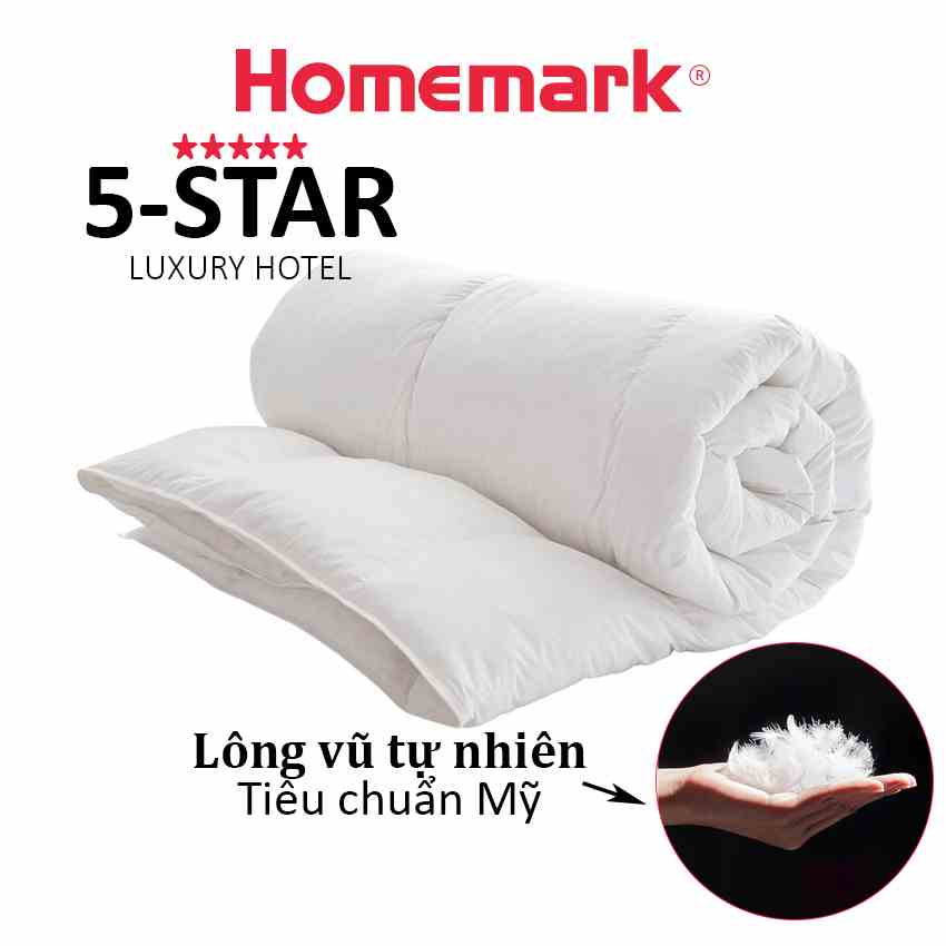 Ruột chăn hè lông vũ thiên nhiên siêu nhẹ kháng khuẩn cao cấp Hanvico by Homemark 200x220 cm