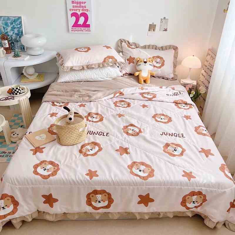 Bộ Chăn Ga Gối Cotton Đũi Bo Decor Trần Bông Nhập Khẩu Hàn Quốc