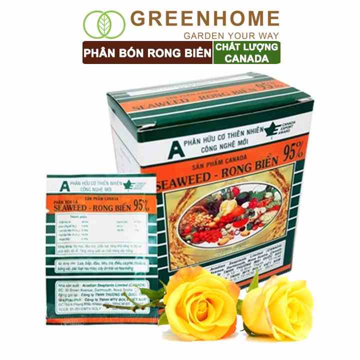 Phân bón lá Greenhome, seaweed, rong biển 95%, gói 10gr, hữu và cơ thúc đẩy ra hoa, chống rụng chồi