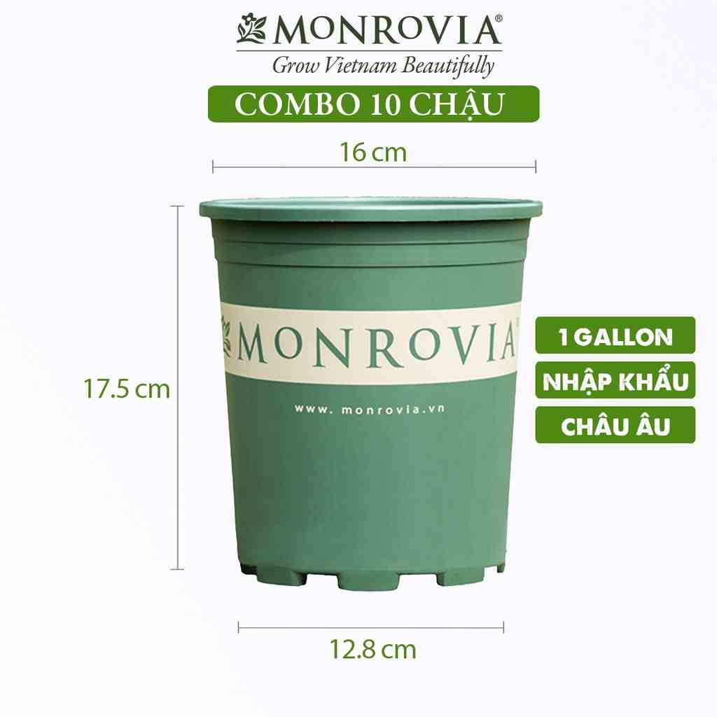 Combo 10 Chậu nhựa trồng cây MONROVIA 1 Gallon, để bàn, treo ban công, ngoài trời, sân vườn, tiêu chuẩn Châu Âu