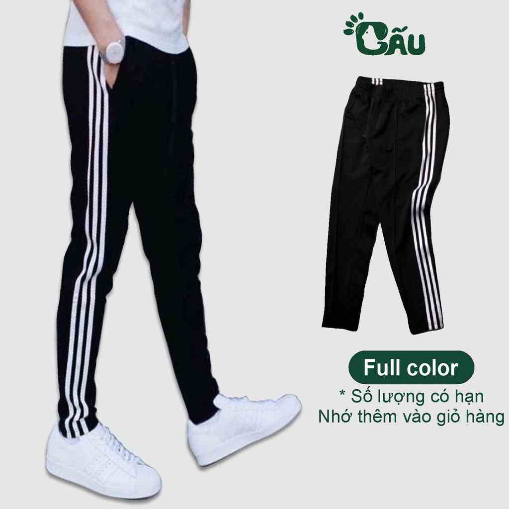 Quần thun nỉ Gấu 194 3 sọc thể thao cao cấp vải poly 2 da co dãn, mềm mịn - form slim fit