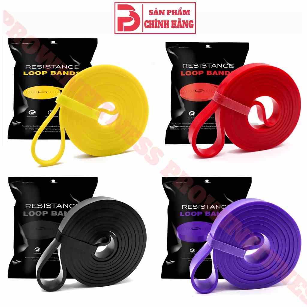 Dây kháng lực Power band Prowin Fitness tập gym, tập tay, chân, toàn thân, đàn hồi trợ lực kéo xà yoga