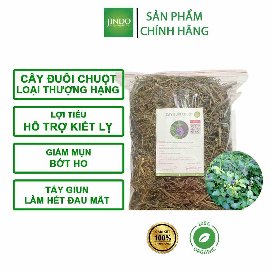 [Mã BMTTC60K giảm đến 60K đơn 50K] Cây đuôi chuột khô (mạch lạc) thượng hạng JINDO 1kg