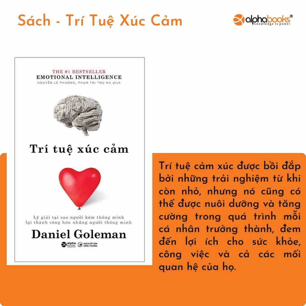 Sách Trí Tuệ Xúc Cảm - Emotional Intelligence, Daniel Goleman (Sự tự ý thức, tính kỷ luật tự giác, sự đồng cảm...)