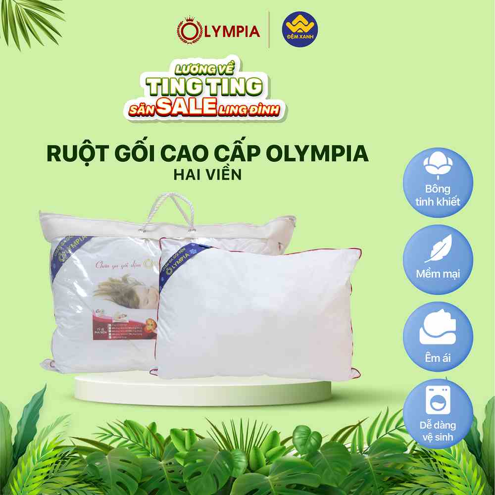 Ruột gối cao cấp Olympia 2 viền