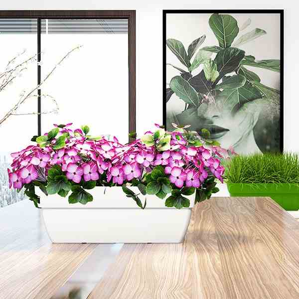 Chậu Nhựa Trồng Cây Thông Minh CATLEZA Sơn Chữ Nhật Có Ống Thăm Dò Mực Nước 58x25x21 cm