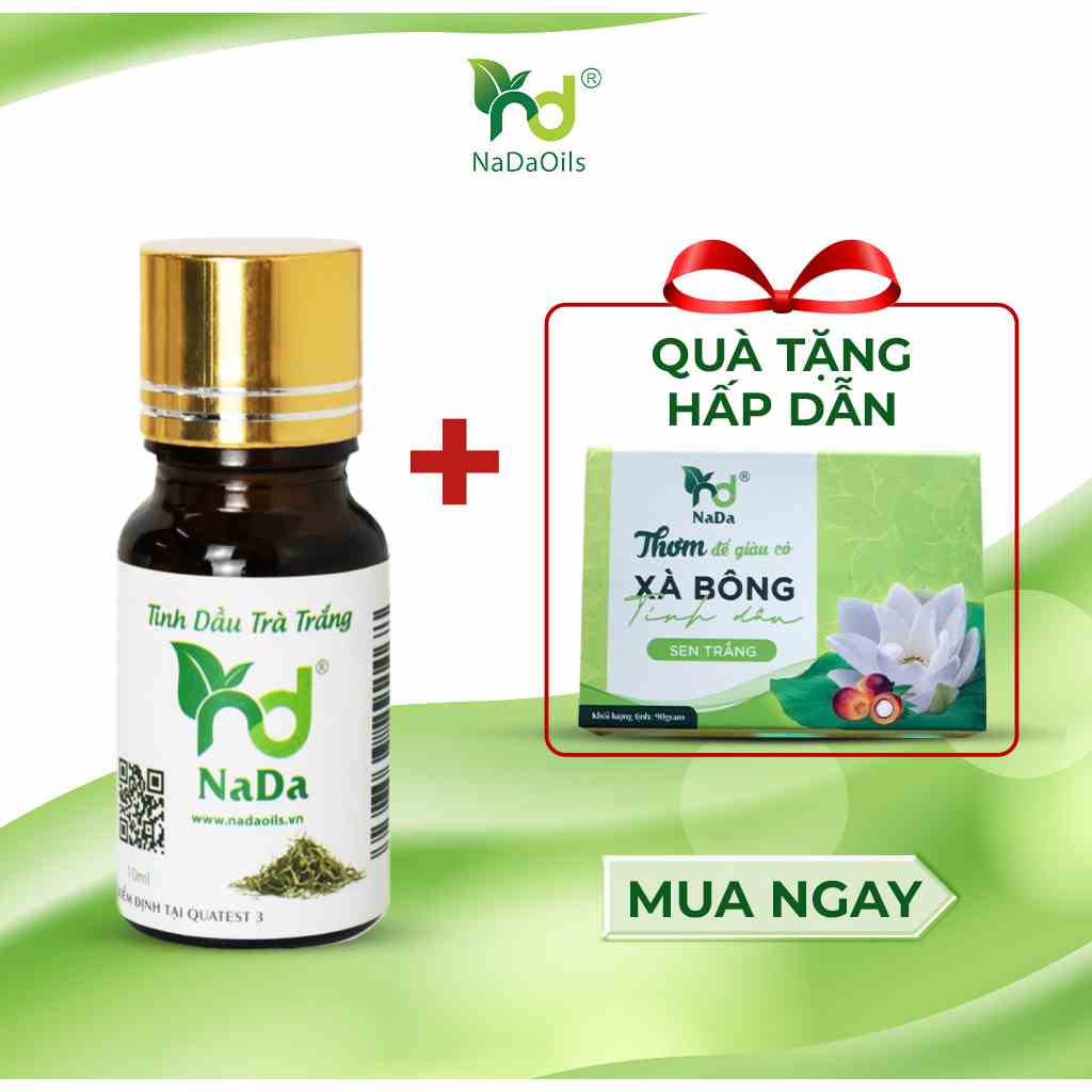 Tinh dầu Trà Trắng nguyên chất Nada | Kiểm định QT3 | Giảm đau nhức, kích thích vị giác, khử mùi mạnh, thư giãn.