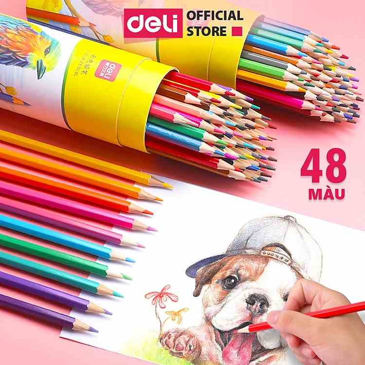 Bút chì màu gốc dầu dạng cốc Deli - 12/24/36/48 màu sắc tươi sáng, chì không dễ gãy - Màu chì, học sinh, chuyên nghiệp