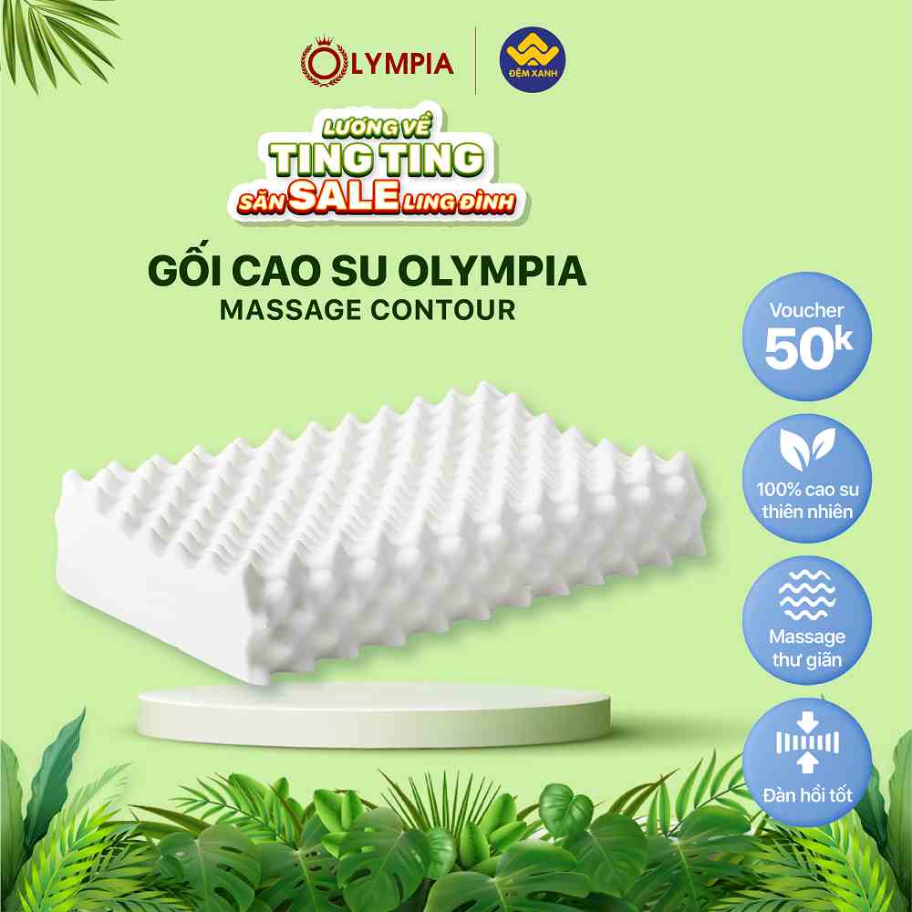 [ẢNH THẬT] Gối Cao Su Olympia Massage Contour (chính hãng)