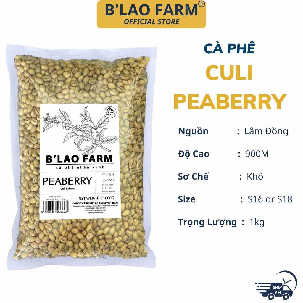 Cà phê nhân xanh CULI loại 1 BLao Farm peaberry cafe chưa rang sàng 18 đã được chà bóng băn màu sơ chế khô túi 1kg CX18