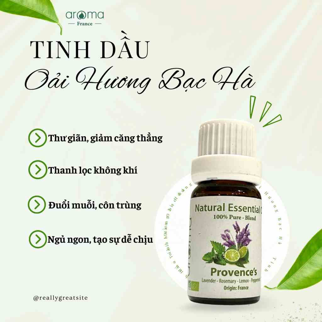 [Mã BMLTB200 giảm đến 100K đơn 499K] Tinh Dầu Thiên Nhiên / AROMA / Oải Hương & Bạc Hà - Provence’s Essential Oil 10ml